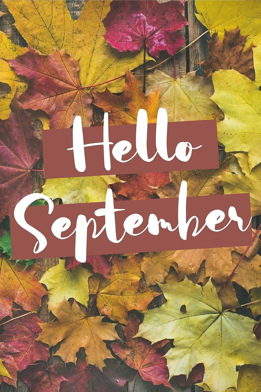Olá, citações do mês de setembro e em 2020. setembro, olá setembro, olá julho, outono de setembro Papel de parede de celular HD