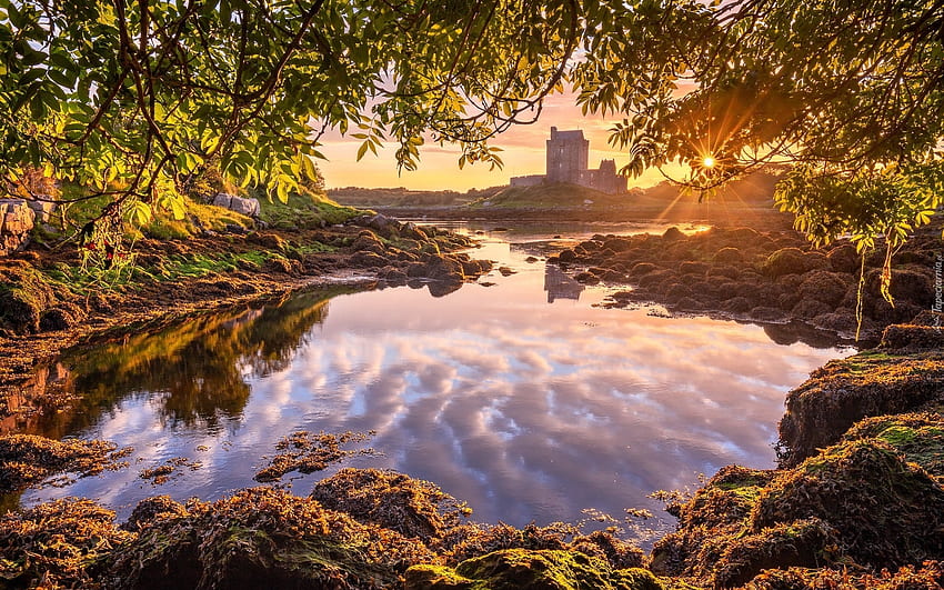 Castello di Dunguaire in Irlanda, baia, castello, albero, Irlanda, raggi di sole Sfondo HD