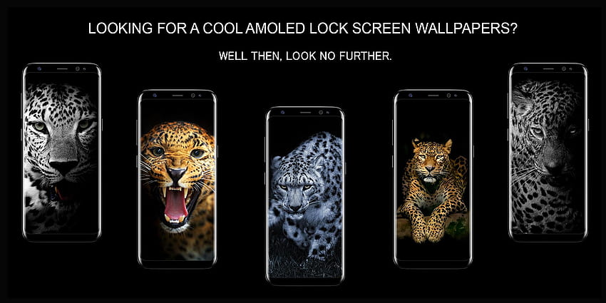 Leopard Dark Black AMOLED Lock Screen HD wallpaper