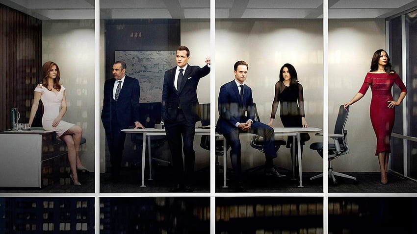 Suits Theme for Windows 10. 8, Harvey Donna HD wallpaper