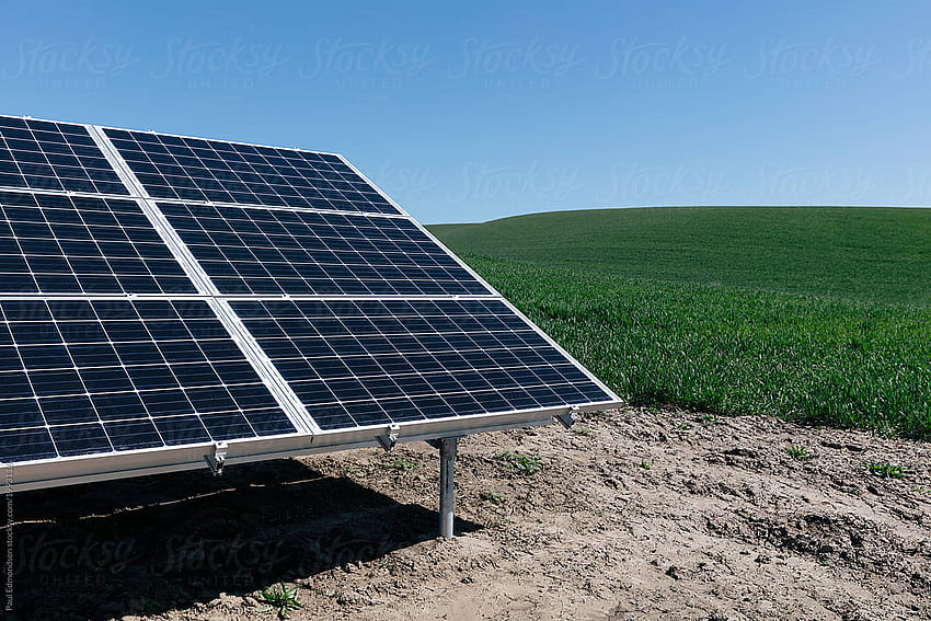 Solar Panels With Field Of Spring Wheat In Distance by Rialto - Solar, Solar Panel HD wallpaper