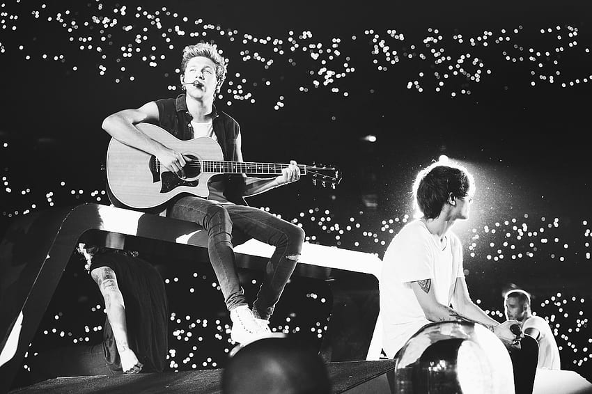 Where We Are Tour - Niall and Louis - One Direction, One Direction Concert HD wallpaper