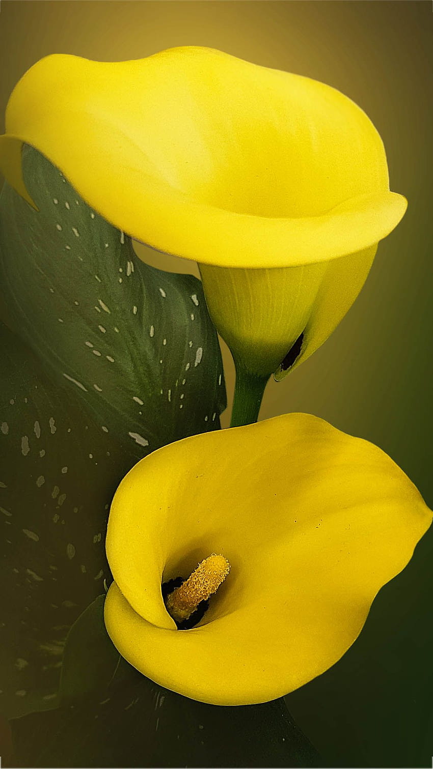 Digitale Kunst. Ästhetik & Hintergrund, grüne und gelbe Blumen HD-Handy-Hintergrundbild