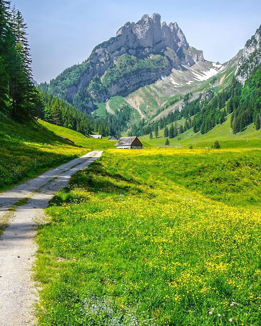 Appenzell Switzerland, people_in_nature, sky HD phone wallpaper