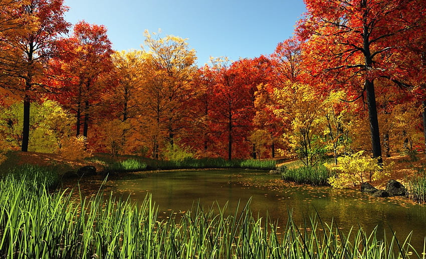 가을, 다채로운, 자연, 호수 HD 월페이퍼