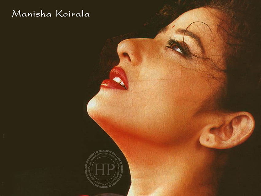 Manisha Koirala HD wallpaper
