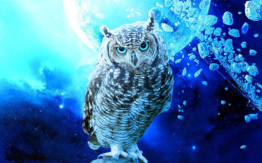 Owl in space 1082360 [] for your , Mobile & Tablet. Explore Cool Owl . Cartoon Owl , Owl for Kids , Cute Owl HD wallpaper