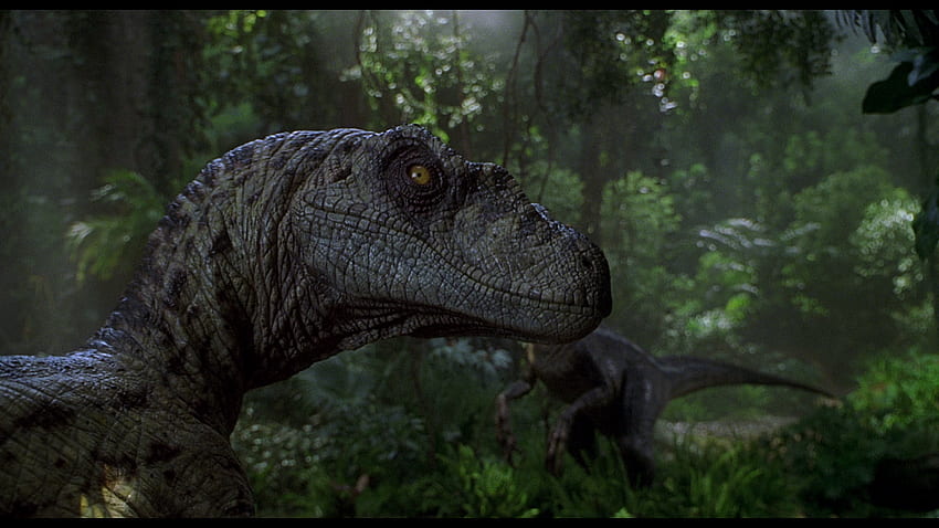 Velociraptor, Velociraptor di Jurassic Park Sfondo HD