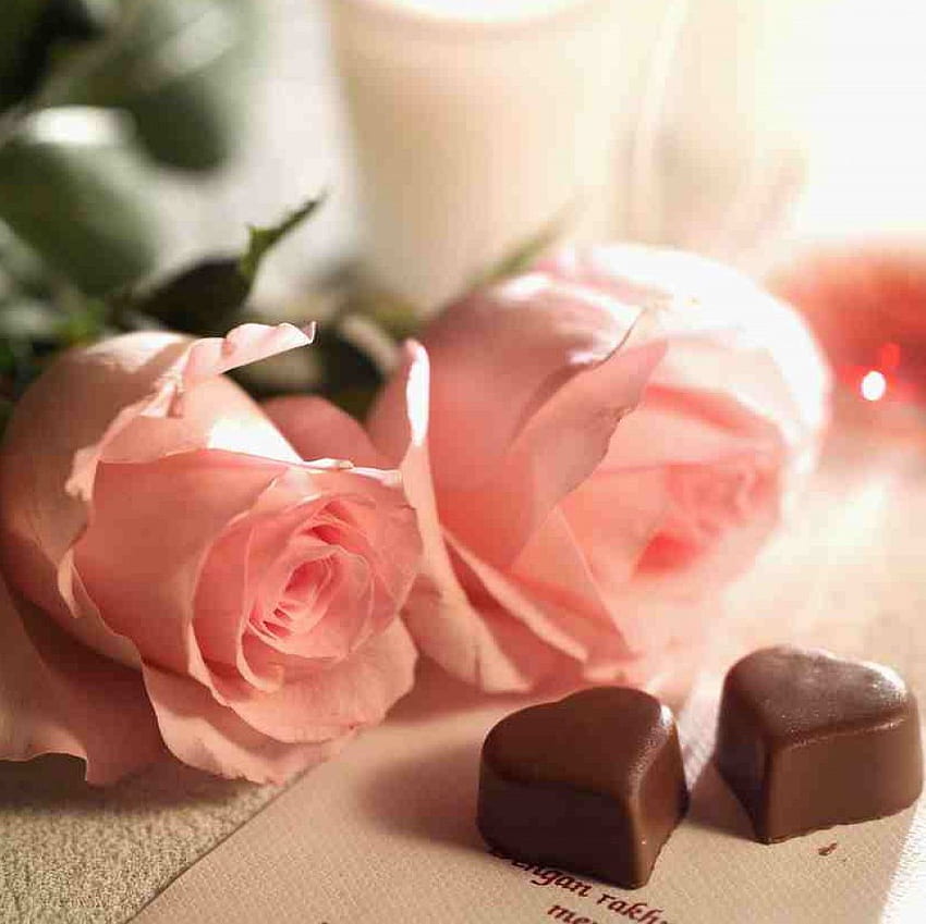 for a sweet heart, a get well rose, from a friend HD wallpaper