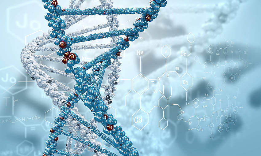 携帯、タブレットの DNA []。 DNA を調べます。 DNA高解像度、DNA、3D DNA、ナノテクノロジー 高画質の壁紙