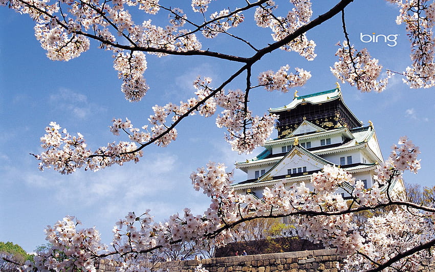 ธรรมชาติ สถาปัตยกรรม ซากุระ บลูม ดอกไม้ ญี่ปุ่น ฤดูใบไม้ผลิ พระราชวัง วอลล์เปเปอร์ HD