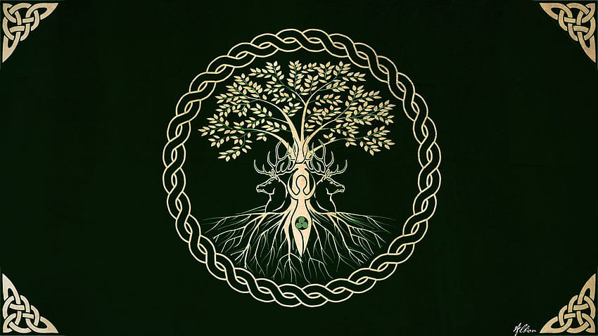 Yggdrasil Tree Of Life Artwork Live Wallpaper  1920x1080  Rare Gallery HD  Live Wallpapers