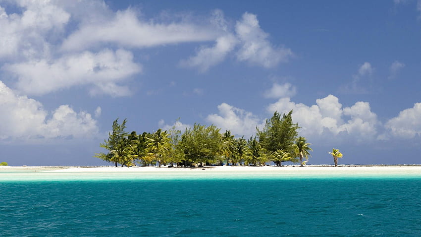 Nature, Palms, Ocean, Island HD wallpaper