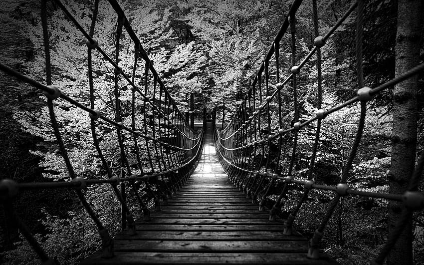 graphy Aesthetic Background Black And White, Creepy Black and White HD wallpaper