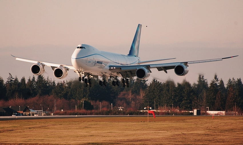 Boeing 747, avião, boing, terra, árvore papel de parede HD