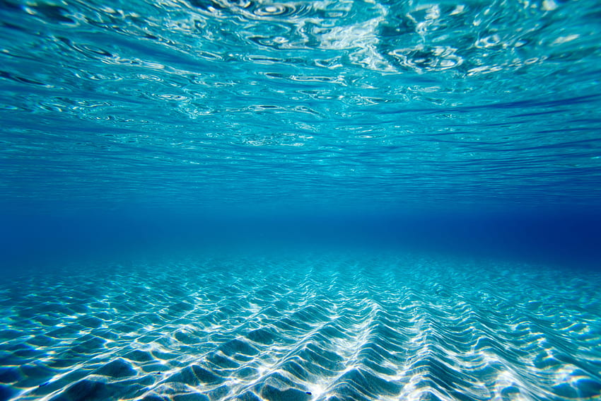 Underwater View Of The Clear Water HD wallpaper | Pxfuel