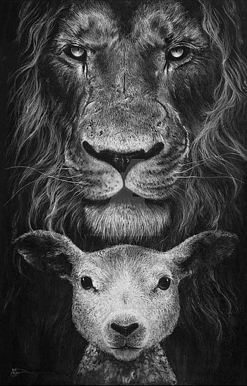 Lion And Lamb Wallpapers  Wallpaper Cave