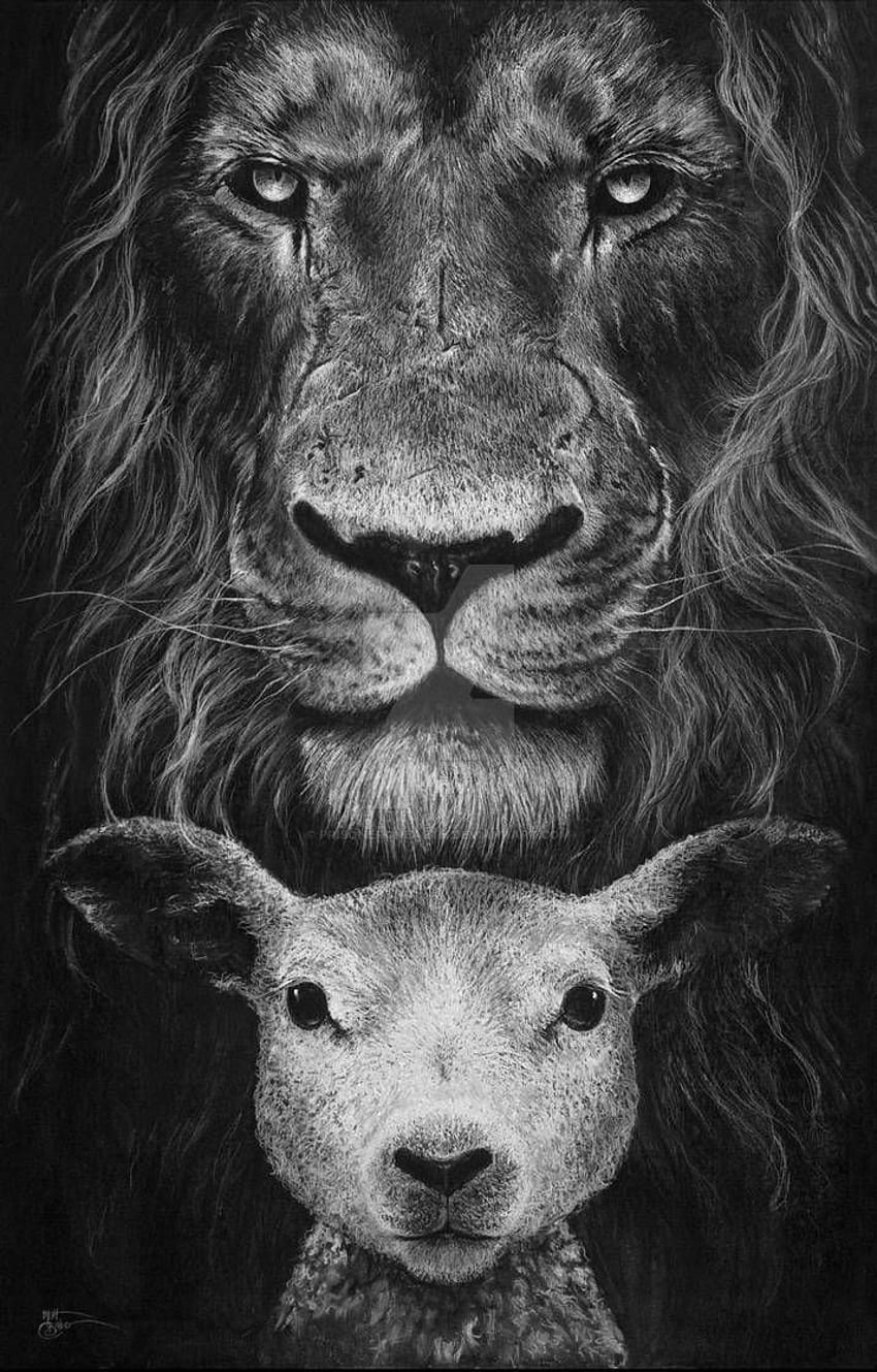 The Lion and the Lamb. Lion and lamb, Lamb tattoo, Lion of judah jesus HD phone wallpaper
