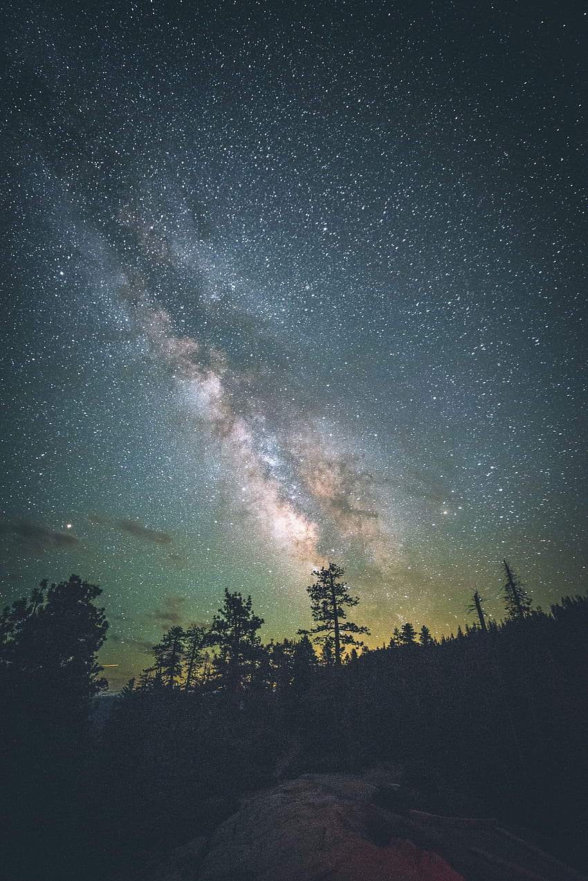 Nature, Trees, Stars, Night, Usa, Starry Sky, Milky Way, United States ...