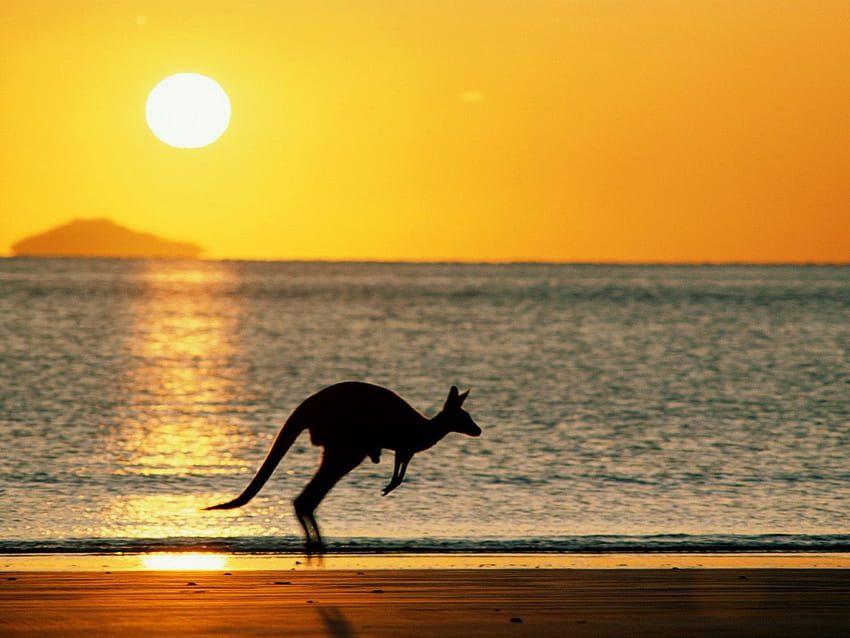 Австралия Плаж, остров, Австралия, океан, плаж HD тапет