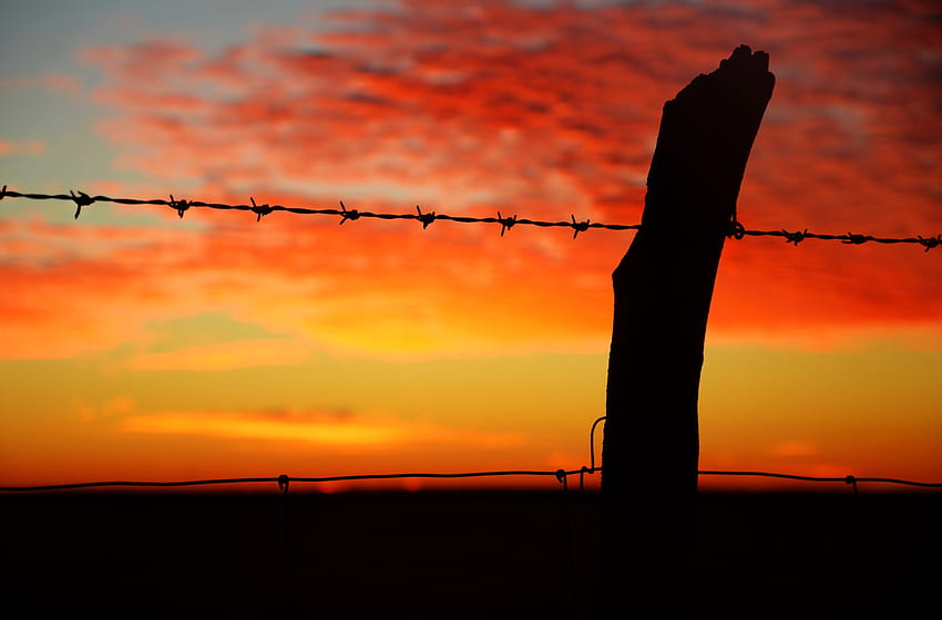 Sunset, Horizon, , , Barbed, Wire, Prickly HD wallpaper