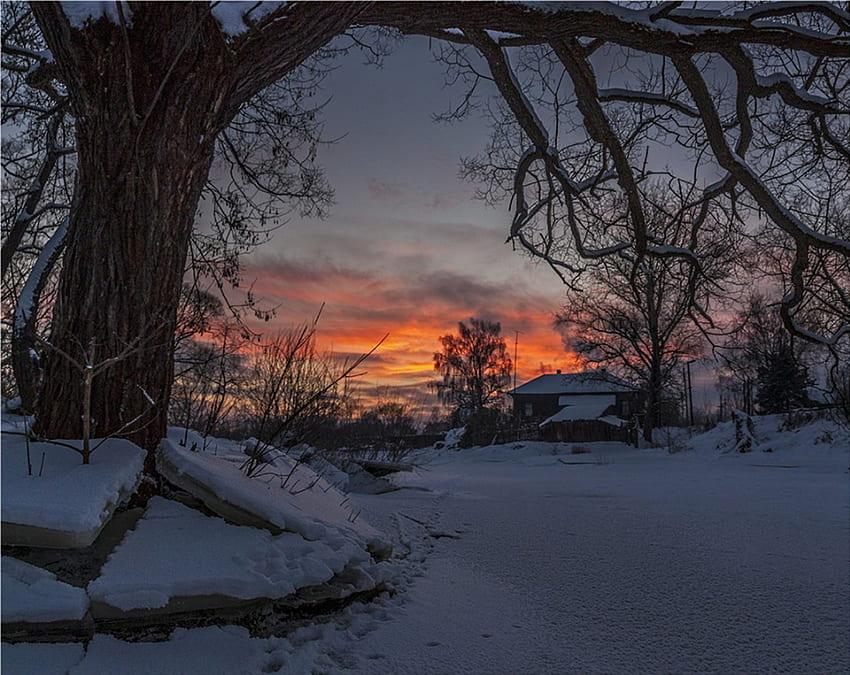 Sunset in winter, winter, snow, tree, sunset HD wallpaper