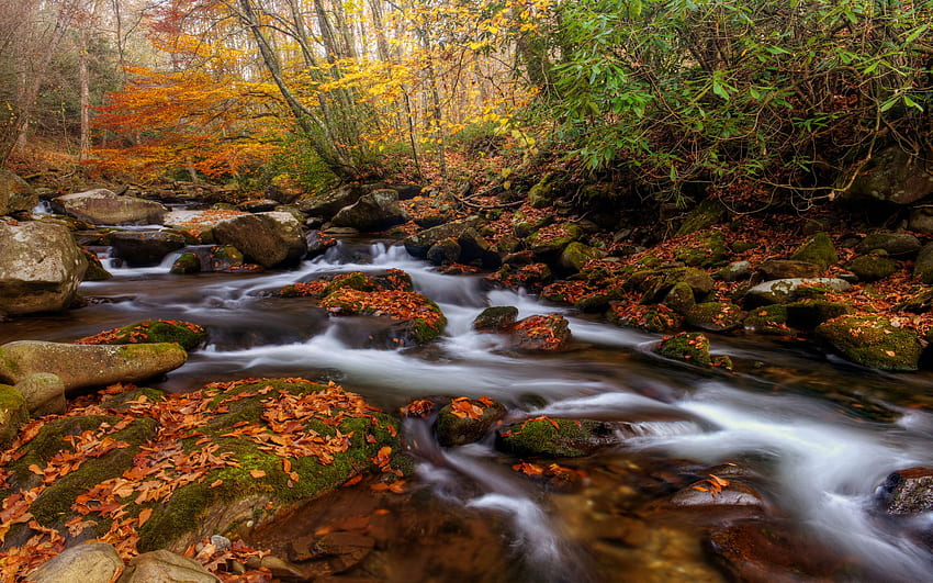 Националният парк Great Smoky Mountains е река Americas Oconaluftee през късната есен HD тапет