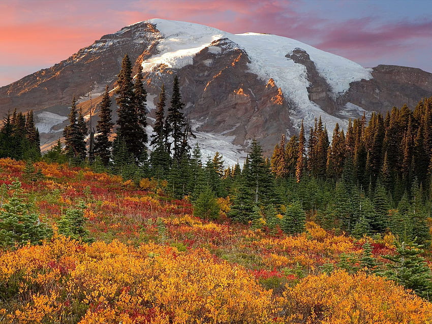 природа, дървета, планини, есен, сняг, връх, връх, цвят, цветове, яде HD тапет