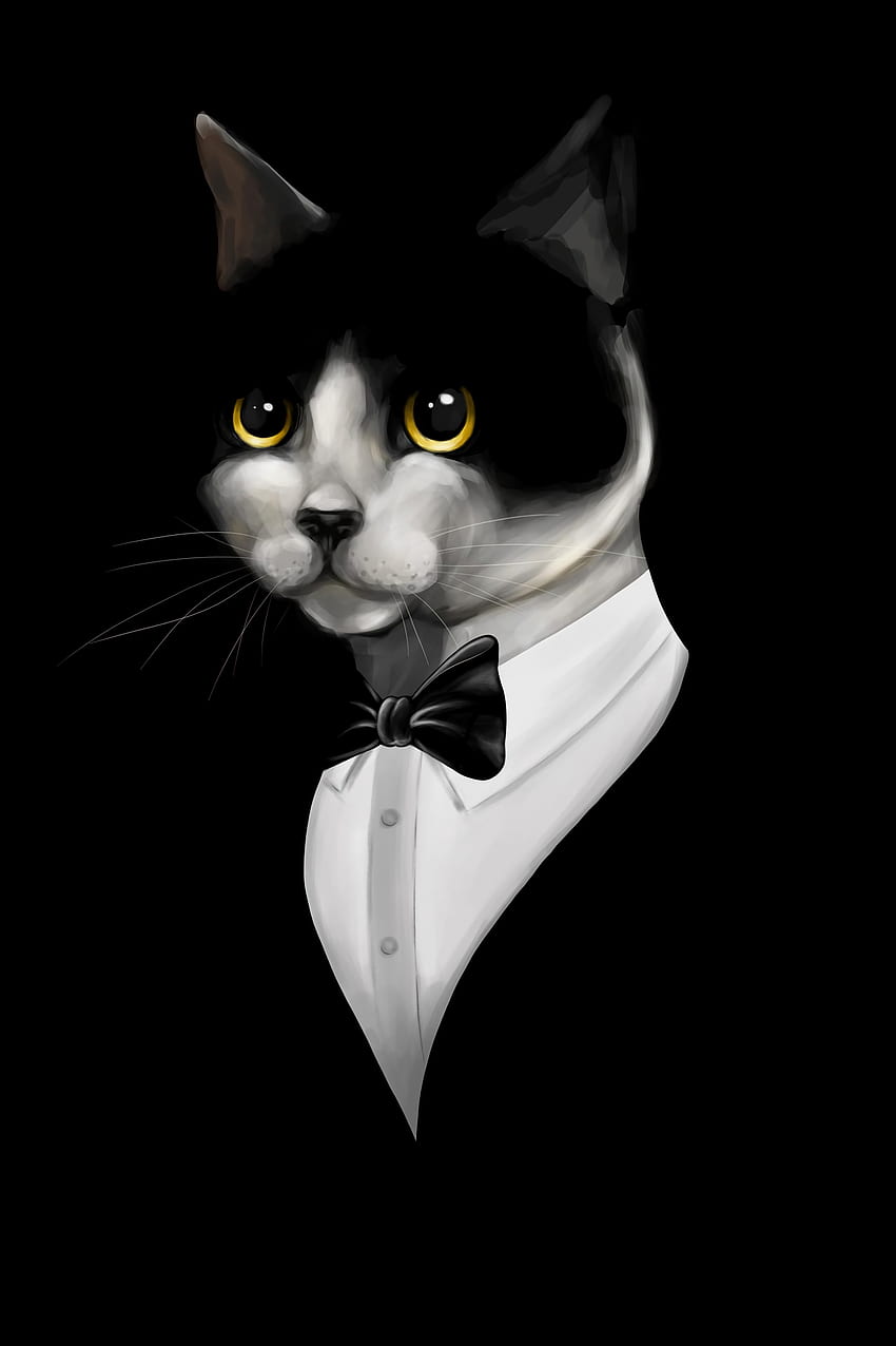 Art, Cat, Pet, Tuxedo HD phone wallpaper