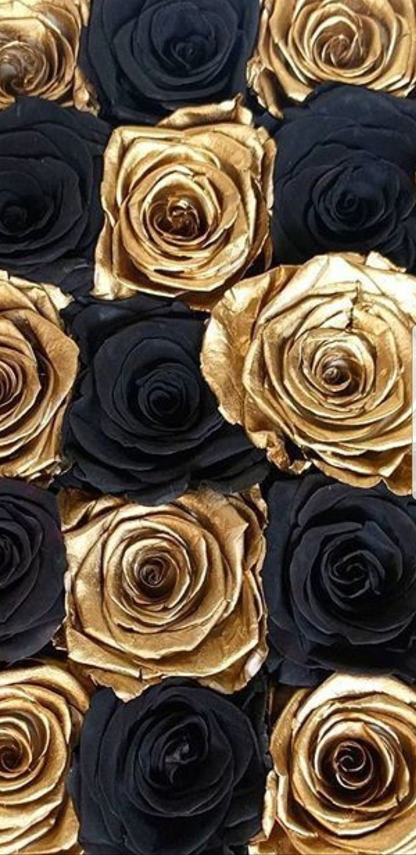 Rose gold flowers backgrounds HD wallpapers | Pxfuel