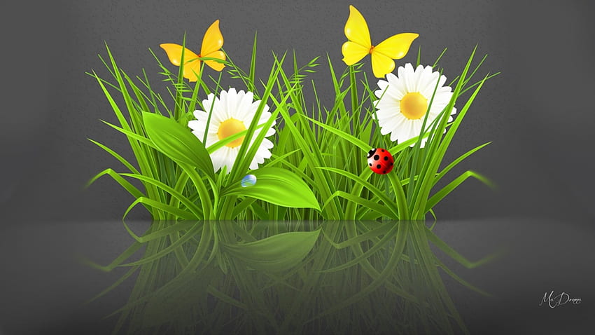 Spring Summer Reflected, butterflies, summer, chamomiles, reflection, ladybug, flowers, spring, daisies HD wallpaper
