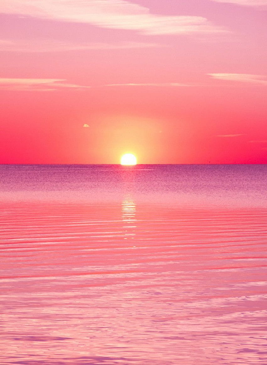 핑크 일몰, 하늘, 수평선, 핑크, 아침에 붉은 하늘, 일몰 HD 전화 배경 화면