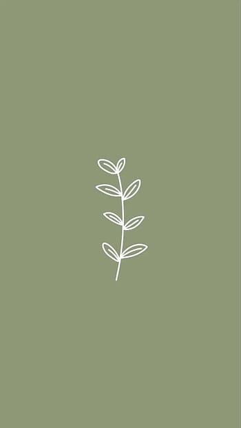 35 Sage Green Aesthetic Wallpapers  Sage Green Draw  Idea Wallpapers   iPhone WallpapersColor Schemes