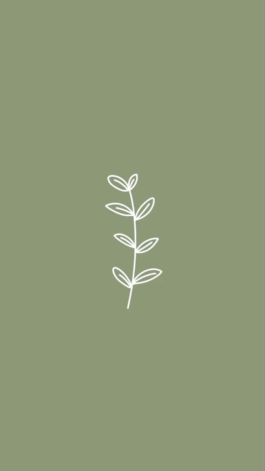 Pin on Sage Green Wallpapers
