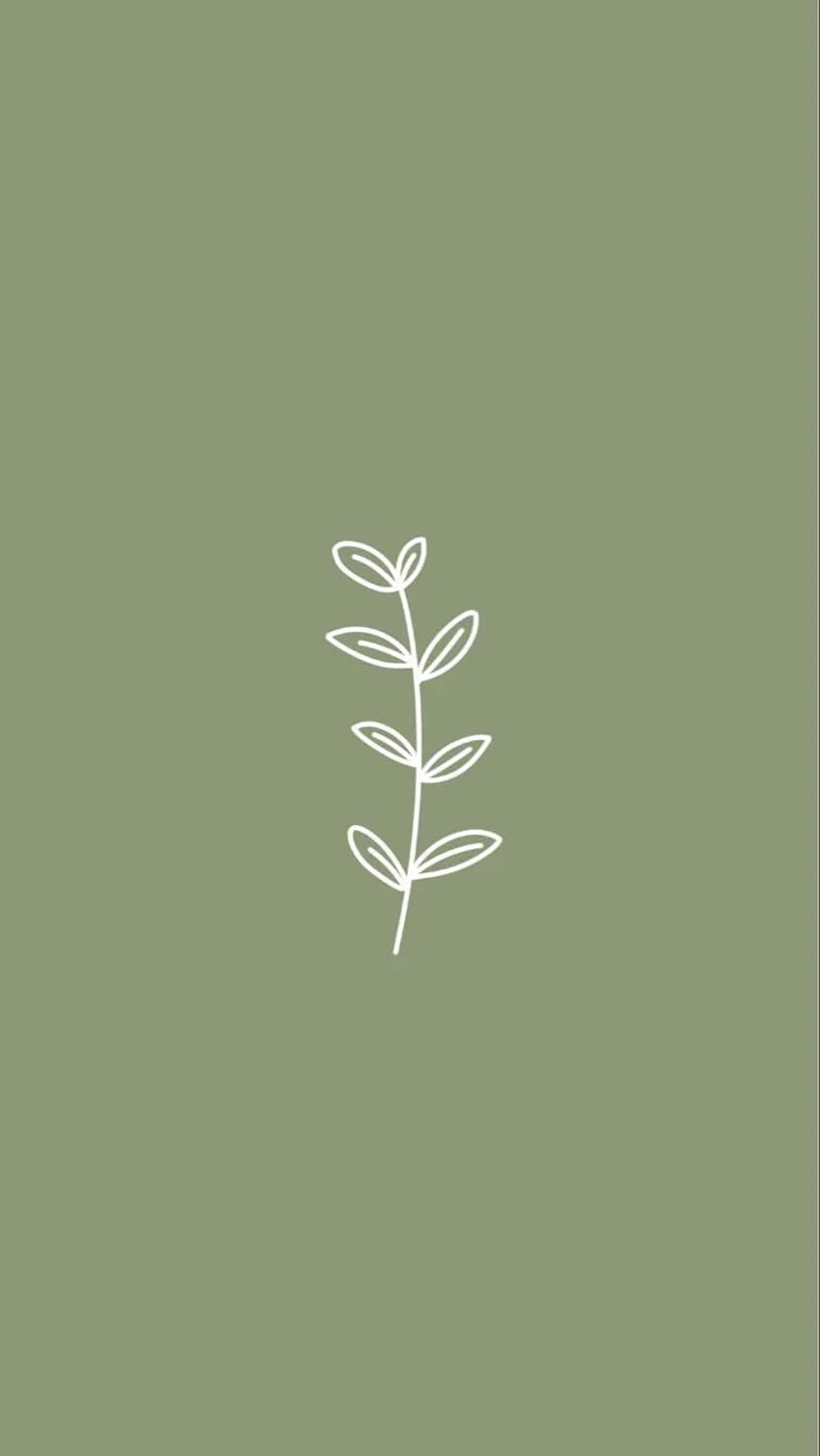 Sage Green aesthetic ipad green HD phone wallpaper  Pxfuel