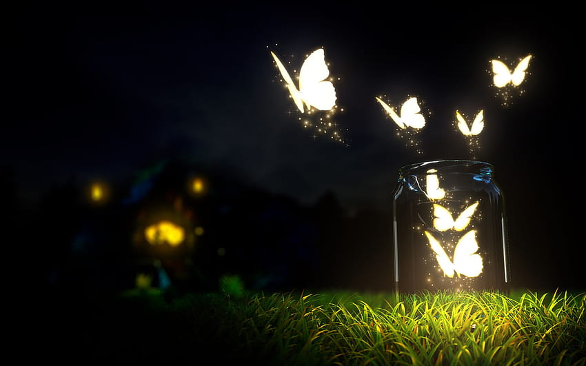 Schmetterlinge. Schmetterlingsbeleuchtung, Schmetterling, Gute Nacht, Schmetterlingskunst HD-Hintergrundbild