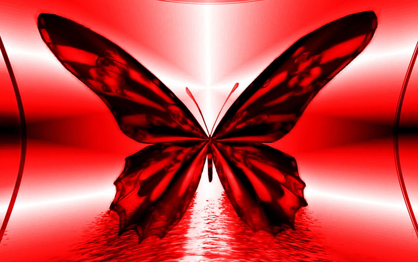 Red Butterfly, beautiful, digital, abstract, art HD wallpaper