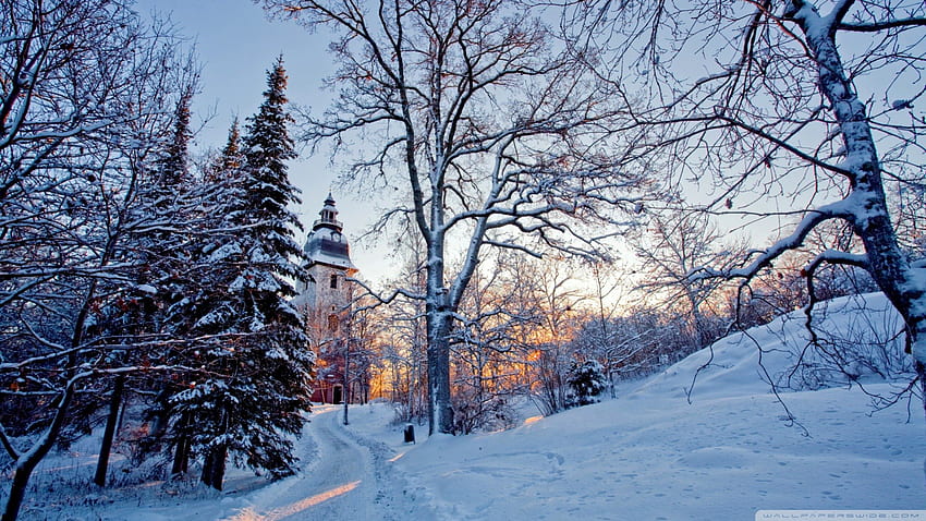 冬の国教会、冬、木々、教会、塔 高画質の壁紙