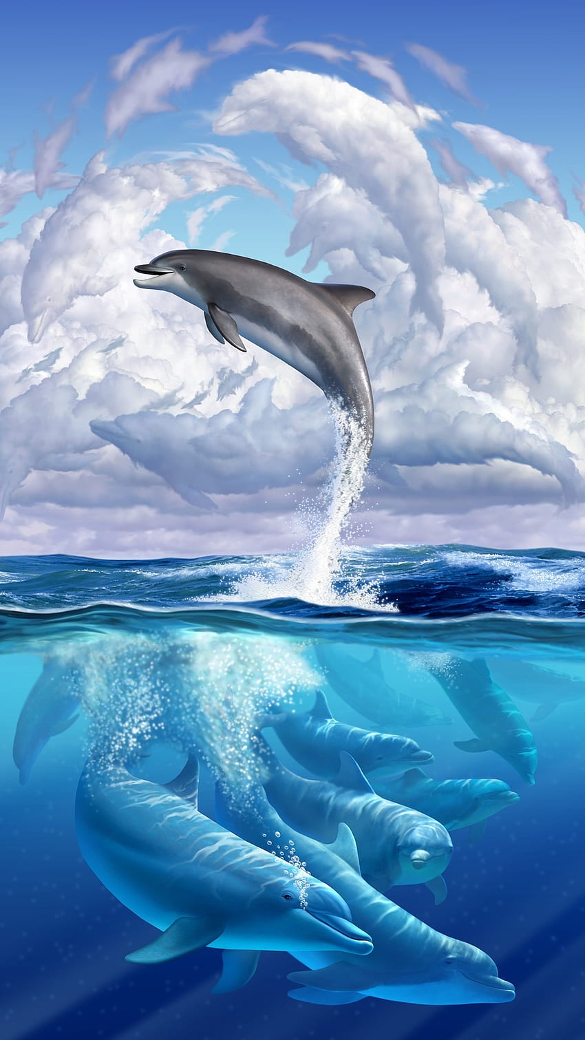Delfin, uroczy delfin, ryba Tapeta na telefon HD