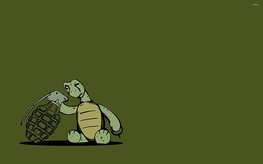 Turtle inspecting a grenade - Funny HD wallpaper