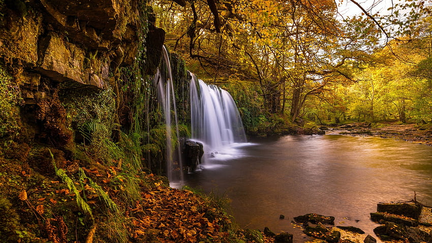 Taman Nasional Brecon Beacons, Wales, Inggris, pohon, sungai, hutan, batu, bebatuan Wallpaper HD