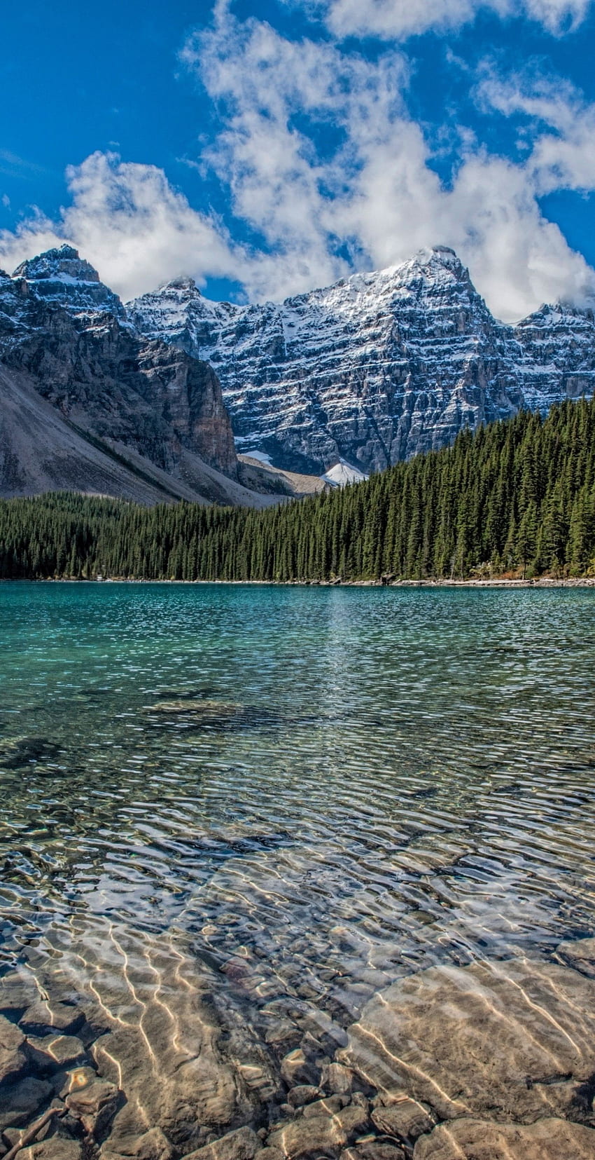 lago pulito, catena montuosa, alberi, Samsung Galaxy S8 Nature Sfondo del telefono HD