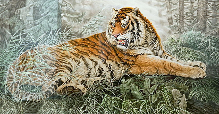 Tiger resting, bengal, tiger, woods, green, cat, indian HD wallpaper
