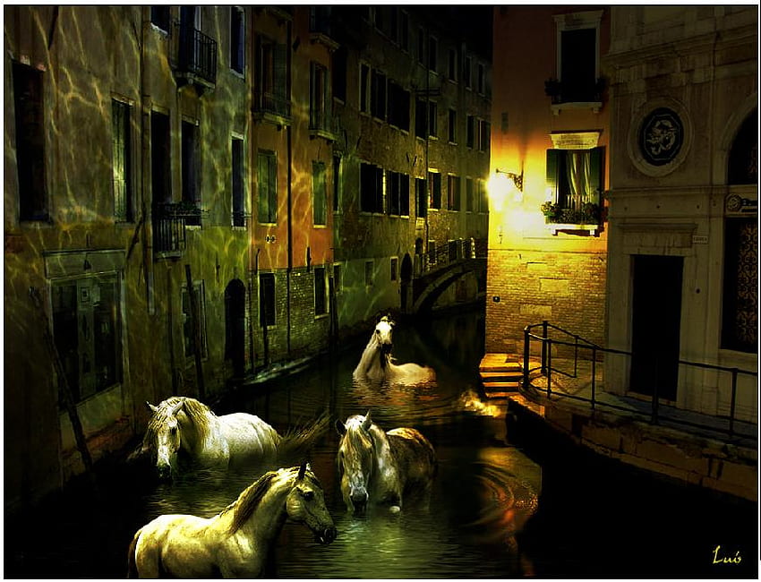 Horses having fun in Venice, horses, venice, fun, city, animals HD wallpaper
