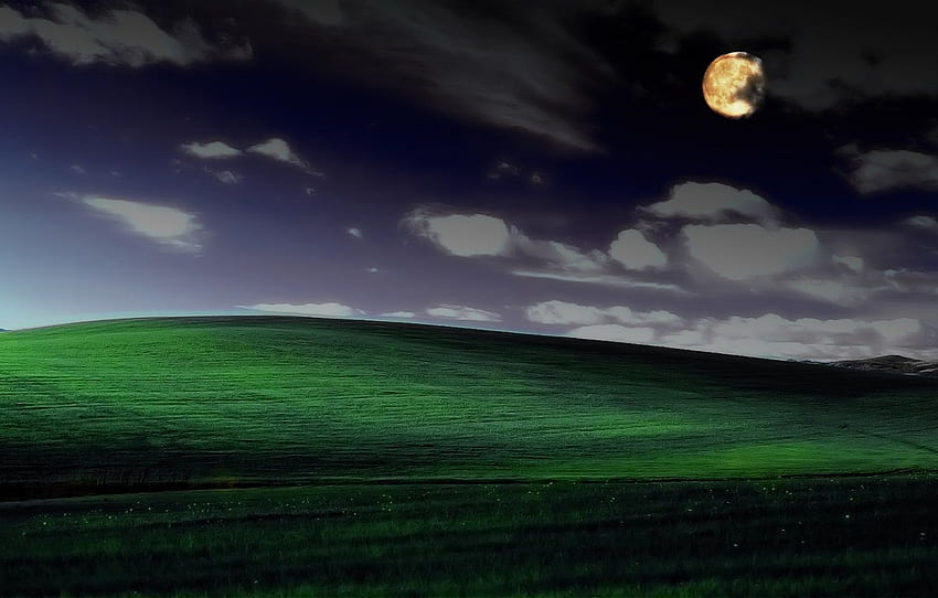 The Iconic Windows XP Bliss Wallpaper Was Actually The ByProduct Of A  Love Story  News18