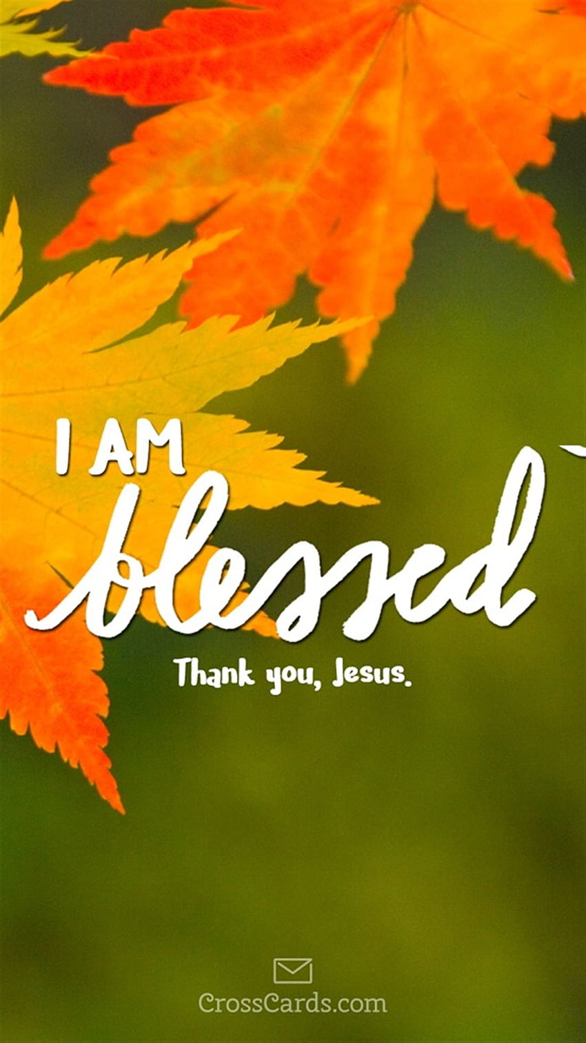 I Am Blessed Iphone Quotes Daily Devotional Blessed Hd Phone Wallpaper Pxfuel