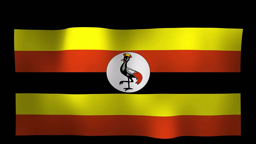 Uganda Flag Motion Loop Stock Video HD wallpaper