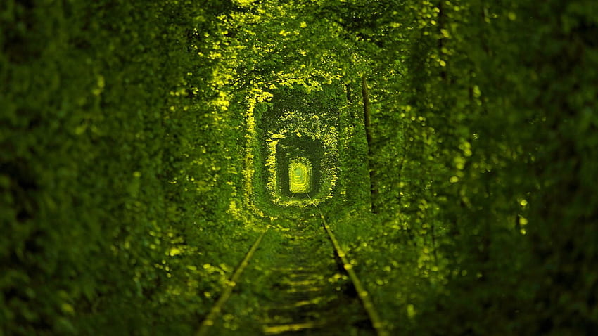 nature, tramways, the tunnel of love, ukraine HD wallpaper