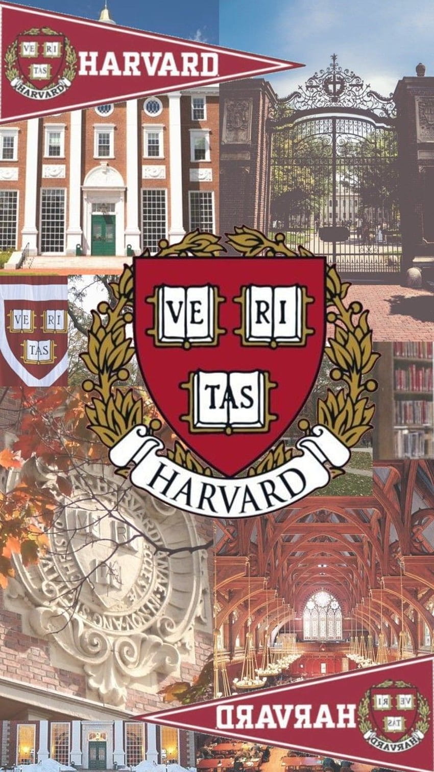Харвард (НЕ МОЯ), обучение, университет, Cool HD тапет за телефон
