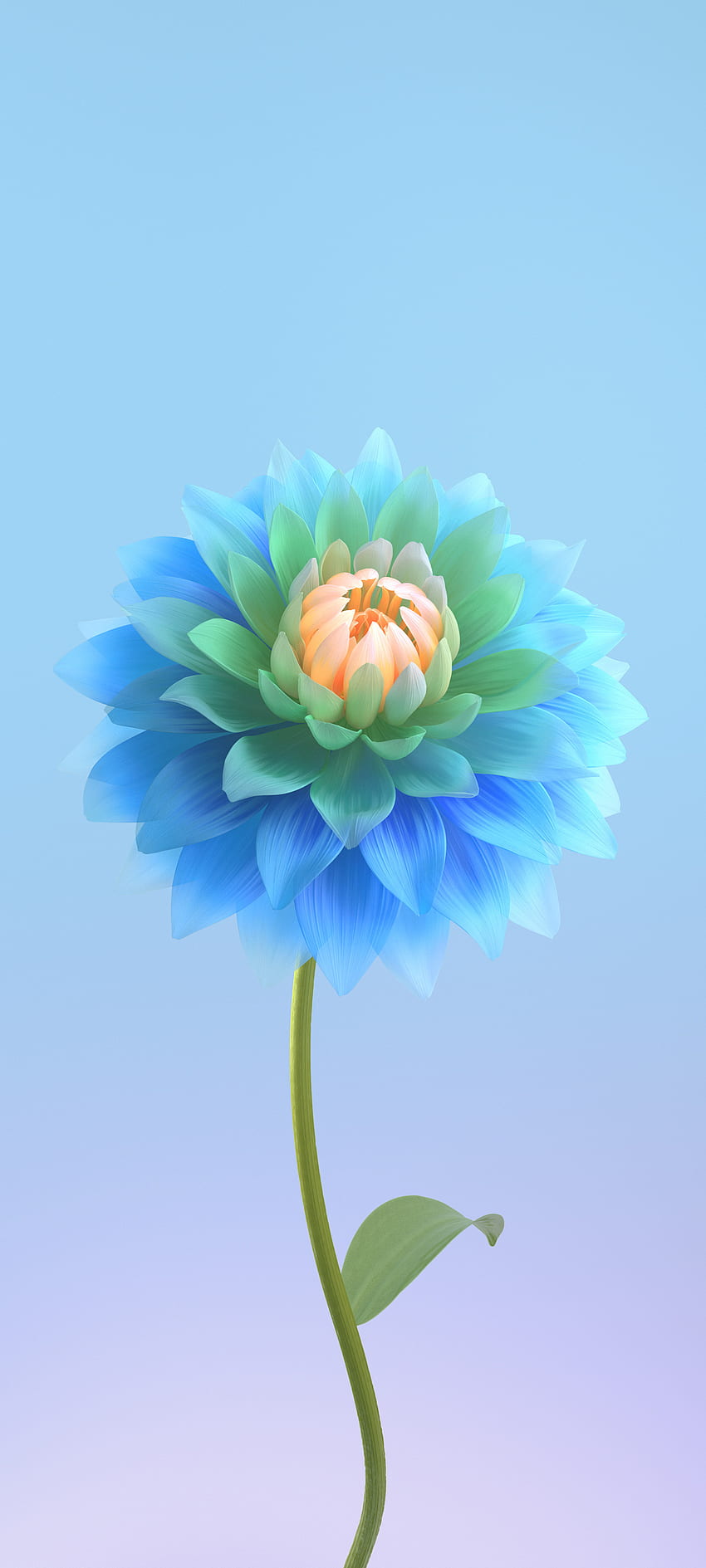 Fleurs, bleu électrique, plante herbacée Fond d'écran de téléphone HD